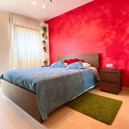 Red Surf コラレホ